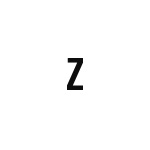 差替式ゴム印単品 高さ8.0mm×横幅5.4mm 文字「Z」