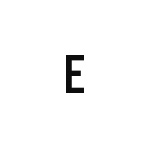 差替式ゴム印単品 高さ9.6mm×横幅5.8mm 文字「E」