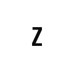 差替式ゴム印単品 高さ9.6mm×横幅6mm 文字「Z」
