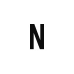 差替式ゴム印単品 高さ12.7mm×横幅8.8mm 文字「N」