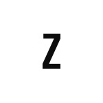 差替式ゴム印単品 高さ12.7mm×横幅7.4mm 文字「Z」